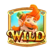 สัญลักษณ์ Wild